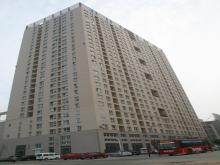 樂天世紀公寓工程，獲得山東省最高質量獎“泰山杯”